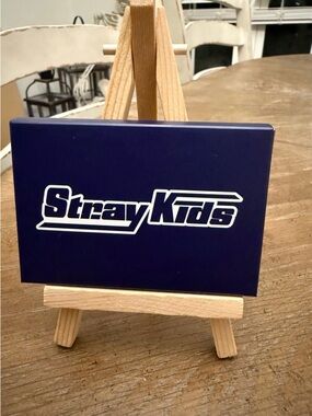 Stray Kids Japan Photo card Set OT8 Official Photo cards